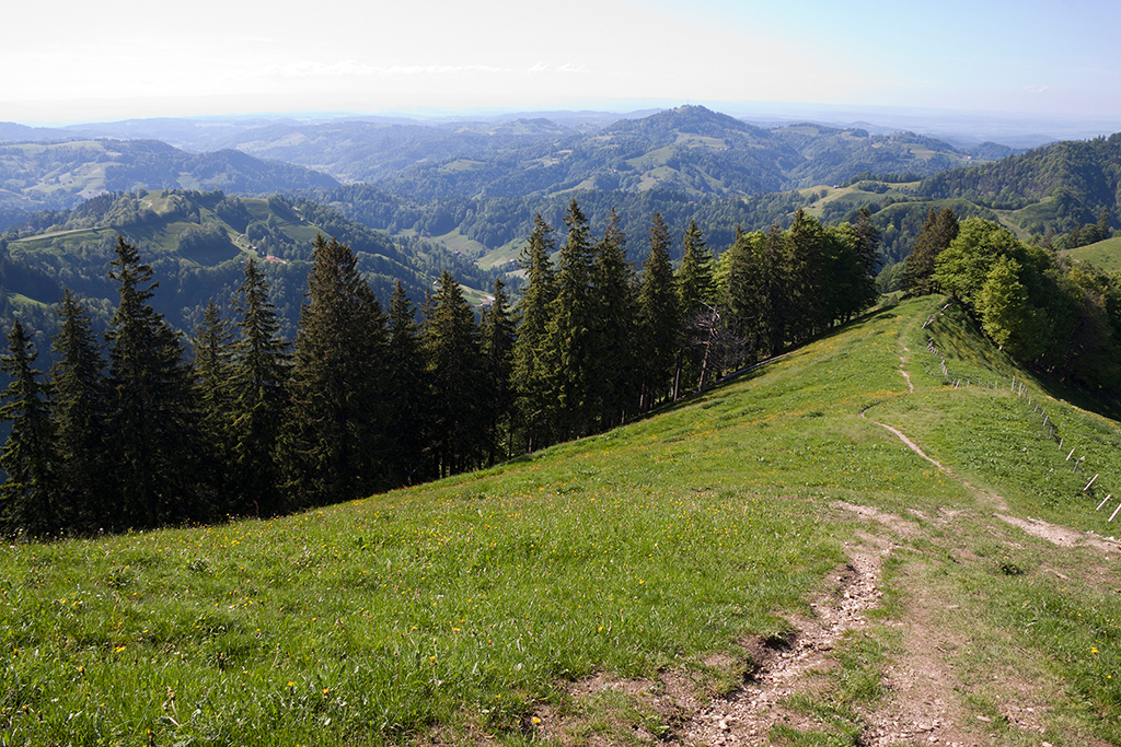 Aussicht vom Schnebelhorn.jpg